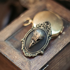 Broche de calavera de cuervo de bronce, camafeo de calavera de pájaro, taxidermia falsa, pin gótico, gótico victoriano, rarezas
