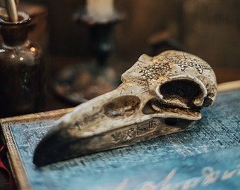 Resin Raven Skull: Vegan Gothic Halloween Decoration