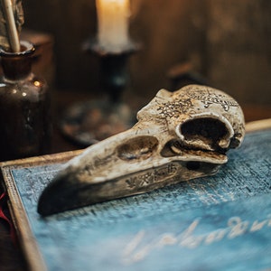 Resin Raven Skull: Vegan Gothic Halloween Decoration