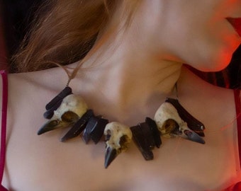 Collar de calavera de cuervo, taxidermia de brujería de cuarzo negro, cráneo de pájaro falso en resina, gótico inspirado en Maléfica