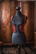 Red Velvet Corset bodice, Tapestry fabric Victorian Gothic corset vest, dark academia circus pirate costume cottagecore style corset Vampire product logo