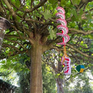 May include: A tree with green leaves and a brown trunk. Hanging from the branches are two crocheted spiral ornaments with red and white stripes. A yellow string and a green, blue, and yellow geometric ornament are also hanging from the tree.