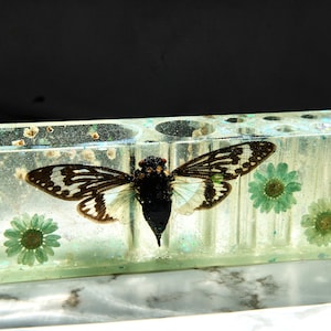 May include: A rectangular, clear resin pen holder with a cicada and green flowers embedded inside. The pen holder has multiple holes for pens and pencils. The cicada has black and white wings.