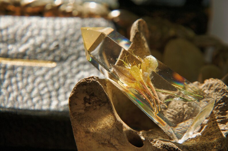 Crystal Encasing Columbine Pressed Flower Resin Crystal Point | Botanical Terrarium - Etsy