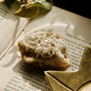 May include: A beige crystal cluster with white crystalline formations, on the open pages of an old book. A gold star-shaped object is in the foreground, with a few green leaves.