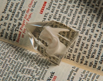 Preserved Animal Tooth in Resin Crystal Point for Curio Shelf or Altar | Natural History Decor | Oddity Bone Art