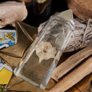 Python Vertebrae Preserved in Resin Crystal Point