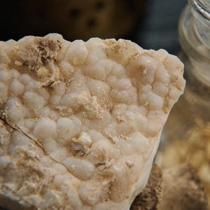 Raw Botryoidal Chalcedony Crystals | Druzy Chalcedony Botryoidal | Botryoidal Agate Geode | Botryoidal Alien Quartz | Unique Specimens