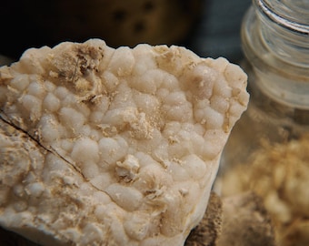 Raw Botryoidal Chalcedony Specimen | PNW Peach Druzy Crystal