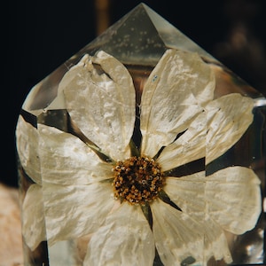Peut inclure: Une œuvre d'art en résine transparente de forme géométrique, contenant une fleur blanche séchée. Les pétales de la fleur sont détaillés et le centre est brun foncé. La résine transparente permet une visibilité totale. La pièce est en forme de pyramide.