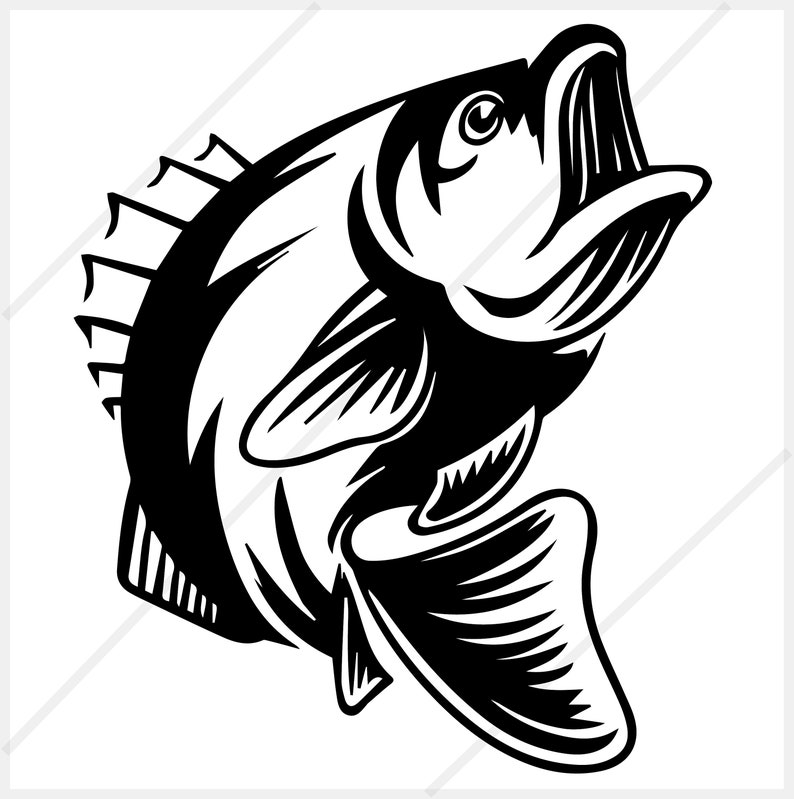 Vector Bass Fish Eps Pdf Svg Png Jpg Image. Download | Etsy