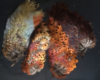 Four dried Pheasant Feather skins for crafting