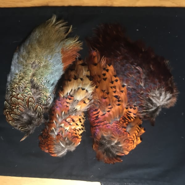 Four dried Pheasant Feather skins for crafting