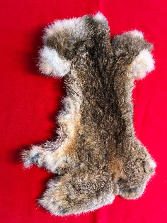 English Wild Rabbit Pelt Skin Fur Gundog Training Gun Dogs Dummy