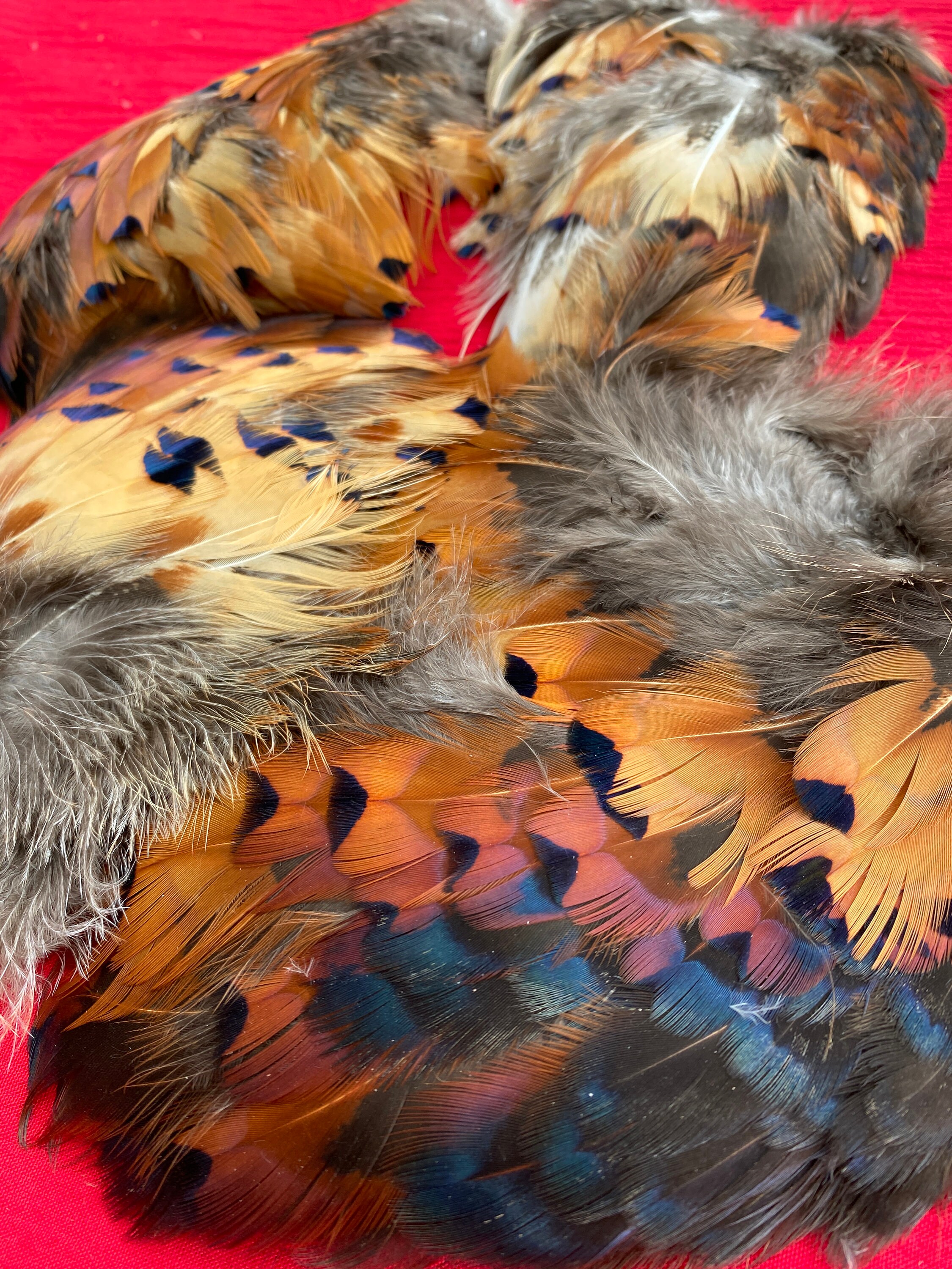 Pheasant Feathers for Craft Projects Etsy UK