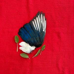 A Magpie Wing Smudge Fan Feathers