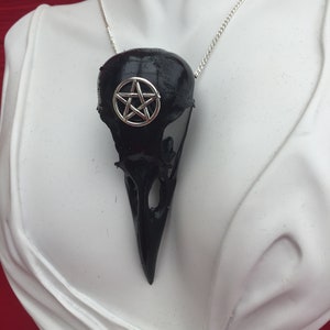 Könnte beinhalten: Eine Halskette mit einem schwarzen Rabenschädel-Anhänger, der mit einem silbernen Pentagramm verziert ist. Die Kette ist aus Silber.
