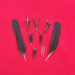 Six becs de corbeau