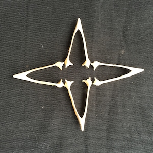 Four Crow Beaks suitable for jewellery projects.