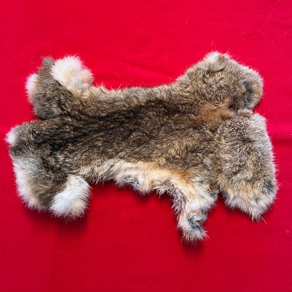 English Wild Rabbit Pelt Skin Fur Gundog Training Gun Dogs Dummy Taxidermy