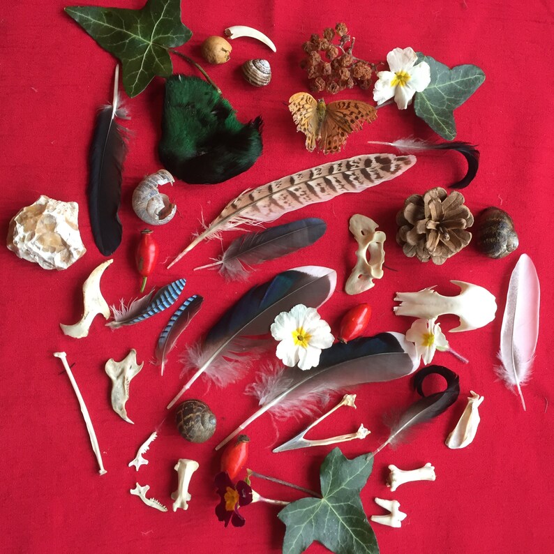 Free Free 193 Shark Coochie Board Svg Free SVG PNG EPS DXF File