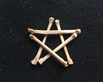 Five Red Fox Bones for Crafting