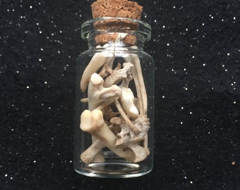 A Bottle of Small Animal and Bird Bones.