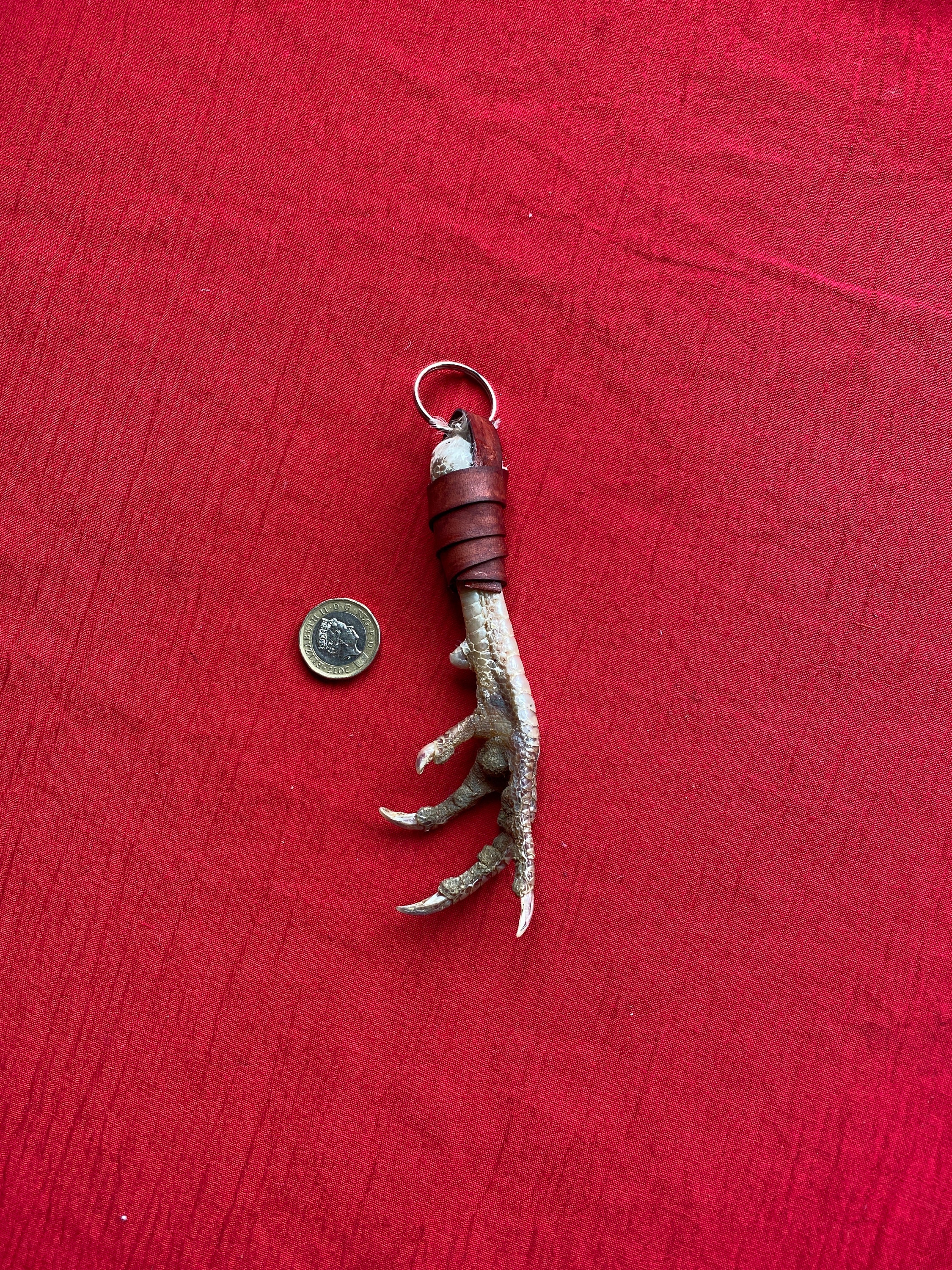 Clé à Chocs BETA 910CF Pour Douilles à Pattes – 19 Mm, Fabrication Pro