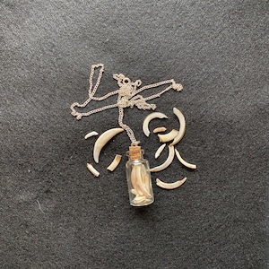 Snake Tooth Necklace Etsy UK