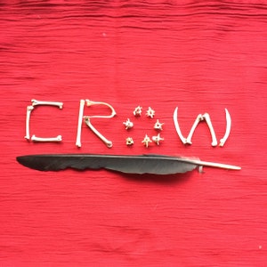 16 English Crow Bones plus a few feathers