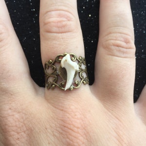 A Fox Claw Adjustable Ring