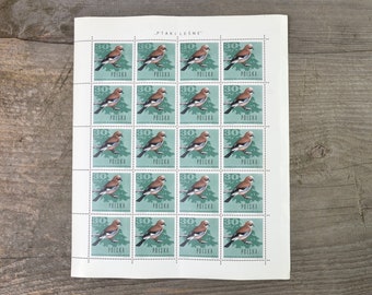 Garrulus glandarius - Eurasian jay 1966 Stamp Sheets/ vintage Polish stamps/ Forest birds/ Birds collectible, ephemera, 20 stamps