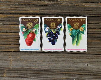 Vintage Polish Garden Produce Stamps – 1974 Unused Collectible Ephemera (Set of 3)