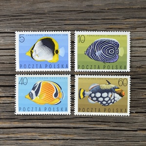 4 sellos postales de peces tropicales / sellos polacos vintage NO UTILIZADOS / Desde 1967 / Coleccionables, efímeros, álbumes de recortes, diario basura, fabricación de tarjetas