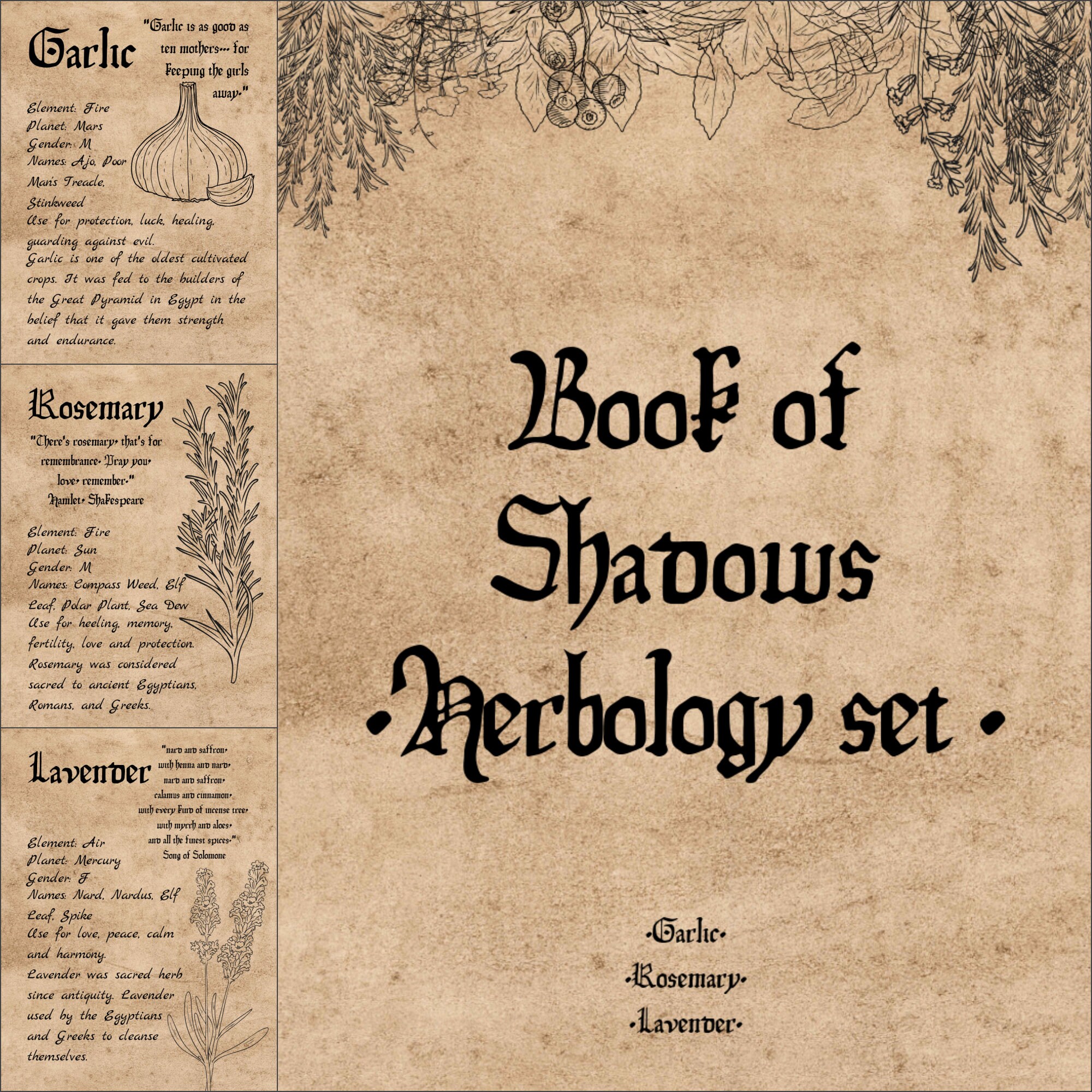 Herbology set. Grimoire printable. Herbs pages Book of | Etsy