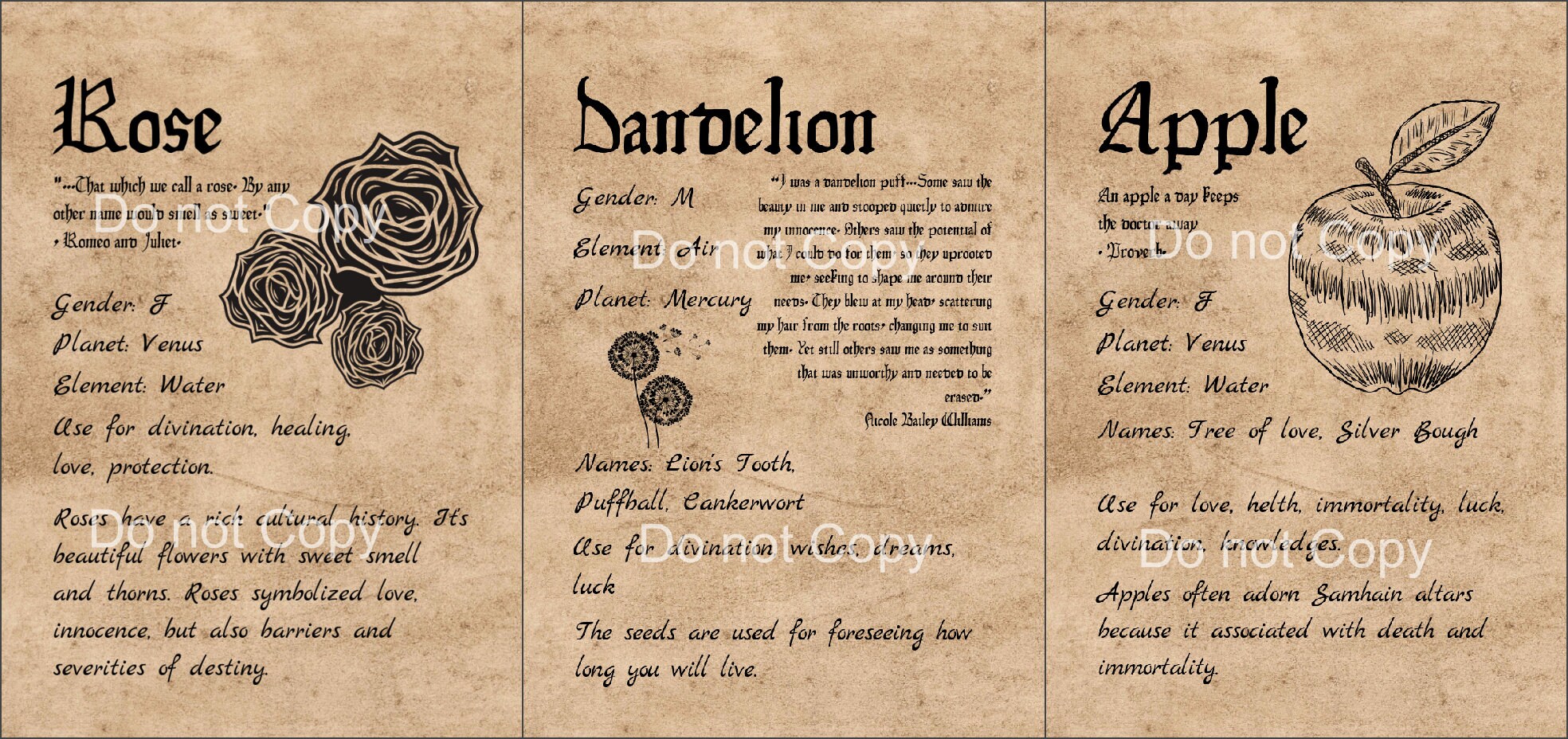 Herbology set 5. Grimoire printable. Herbs pages Book of | Etsy