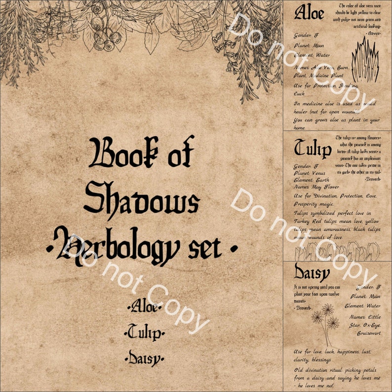 Herbology Set 4. Grimoire Printable. Herbs Pages Book of | Etsy