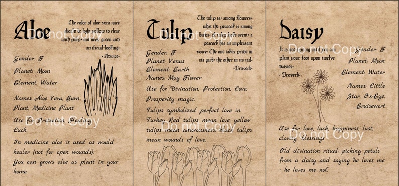 Herbology Set 4. Grimoire Printable. Herbs Pages Book of | Etsy