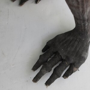 May include: Close-up of a dark brown hand with long, slender fingers. The hand is resting on a white surface.