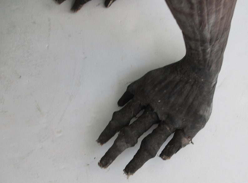 May include: Close-up of a dark brown hand with long, slender fingers. The hand is resting on a white surface.