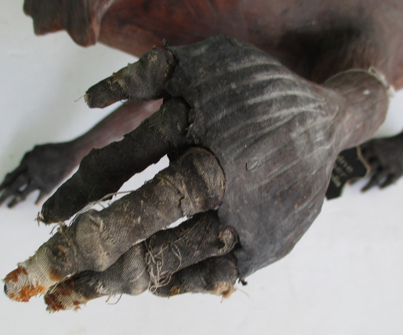 May include: A close-up of a hand, wrapped in dark fabric, with visible stitching. The hand is part of a larger anatomical model, likely for medical or educational purposes.