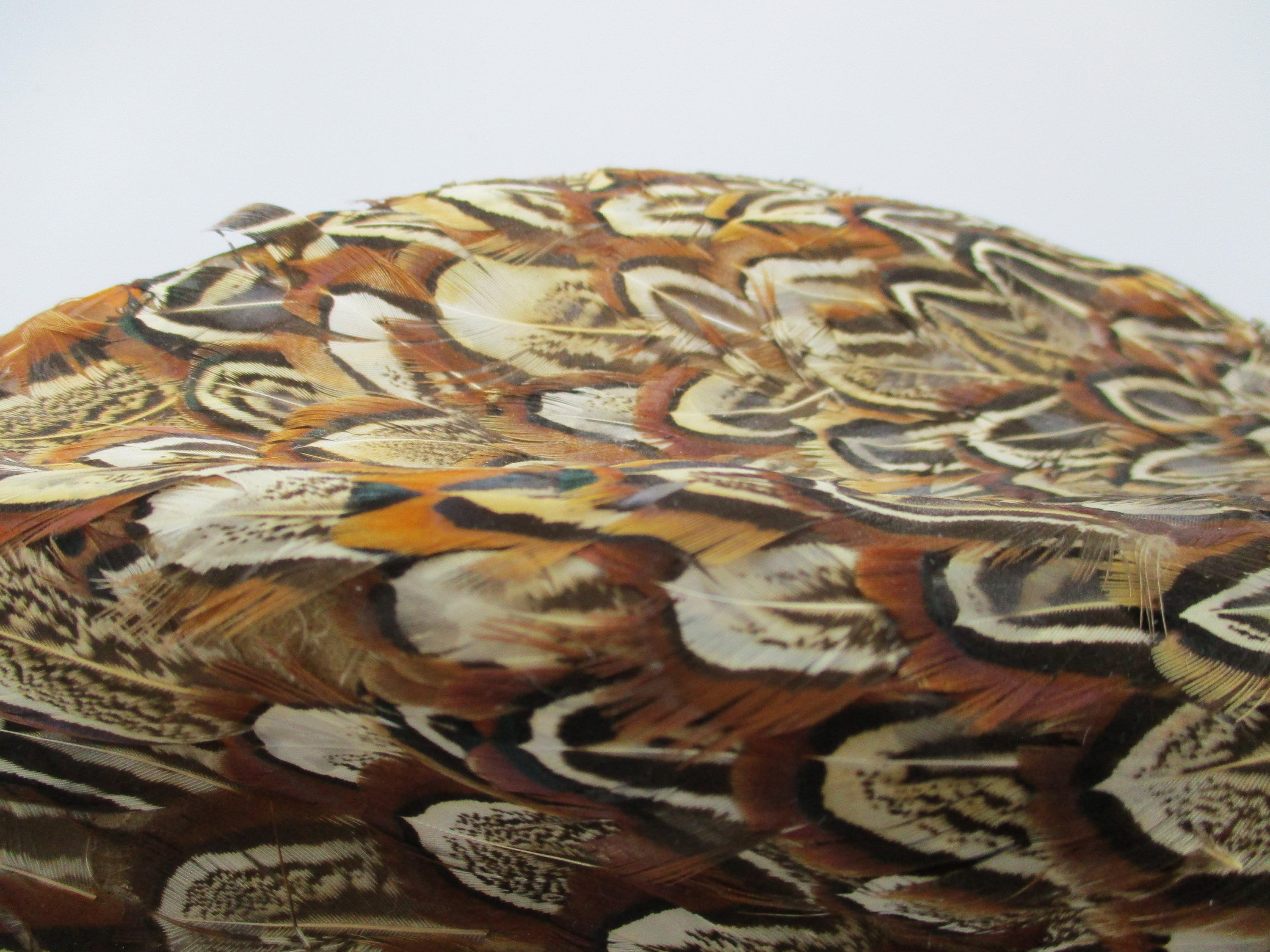 George Zamau\'l Vintage Feather Fedora Hat Size Medium George Zamau main image 3