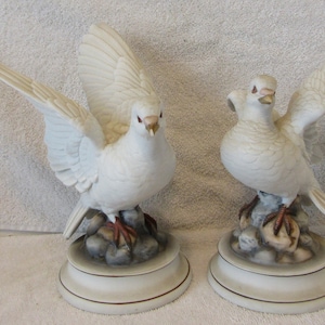 White Doves Andrea - Etsy