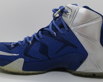 Lebron bayby x11 instinct