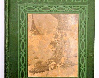 The Call Of The Wild By Jack London 1906 Edition Hardback