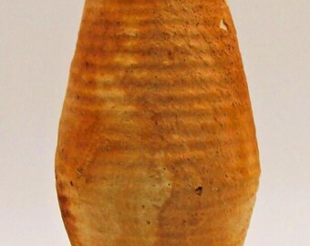Ancient Terracotta Elongated Piriform Body Transport Amphora on Stand