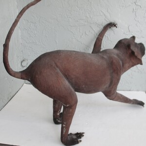 May include: A brown taxidermied animal with a long tail, standing on all fours with its front legs outstretched. The animal has a long snout and a furry body.