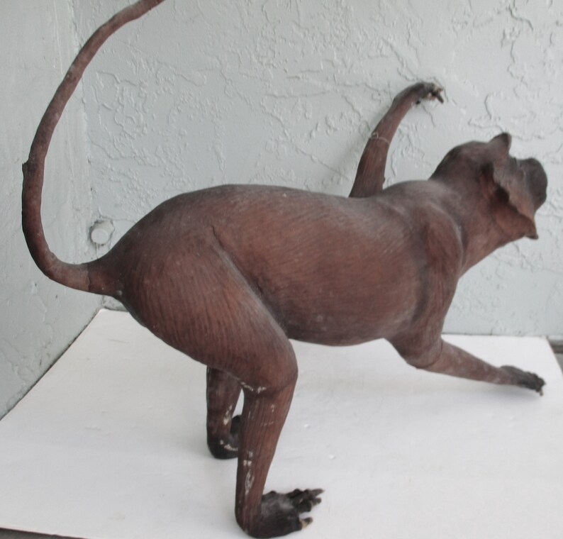 May include: A brown taxidermied animal with a long tail, standing on all fours with its front legs outstretched. The animal has a long snout and a furry body.