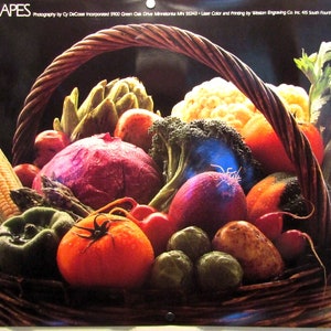 Cy DeCosse Minnesota Foodscapes Basket of Vegetables Poster