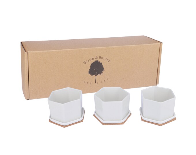 Succulent Pot Set 3 White Ceramic 4-inch Small Mini Succulent Pots Tiny ...